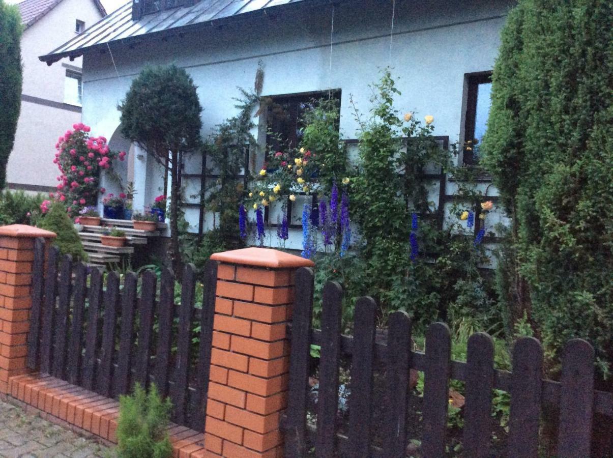Apartment Pracownia Pod 7 *